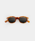 SIENA Ambar Tortoise