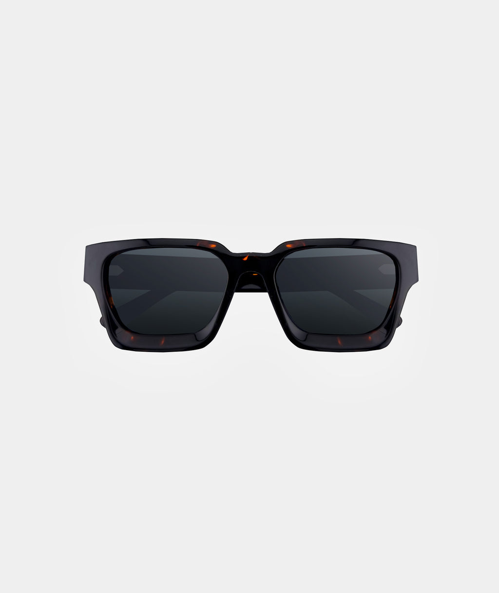 SOHO Brown Tortoise