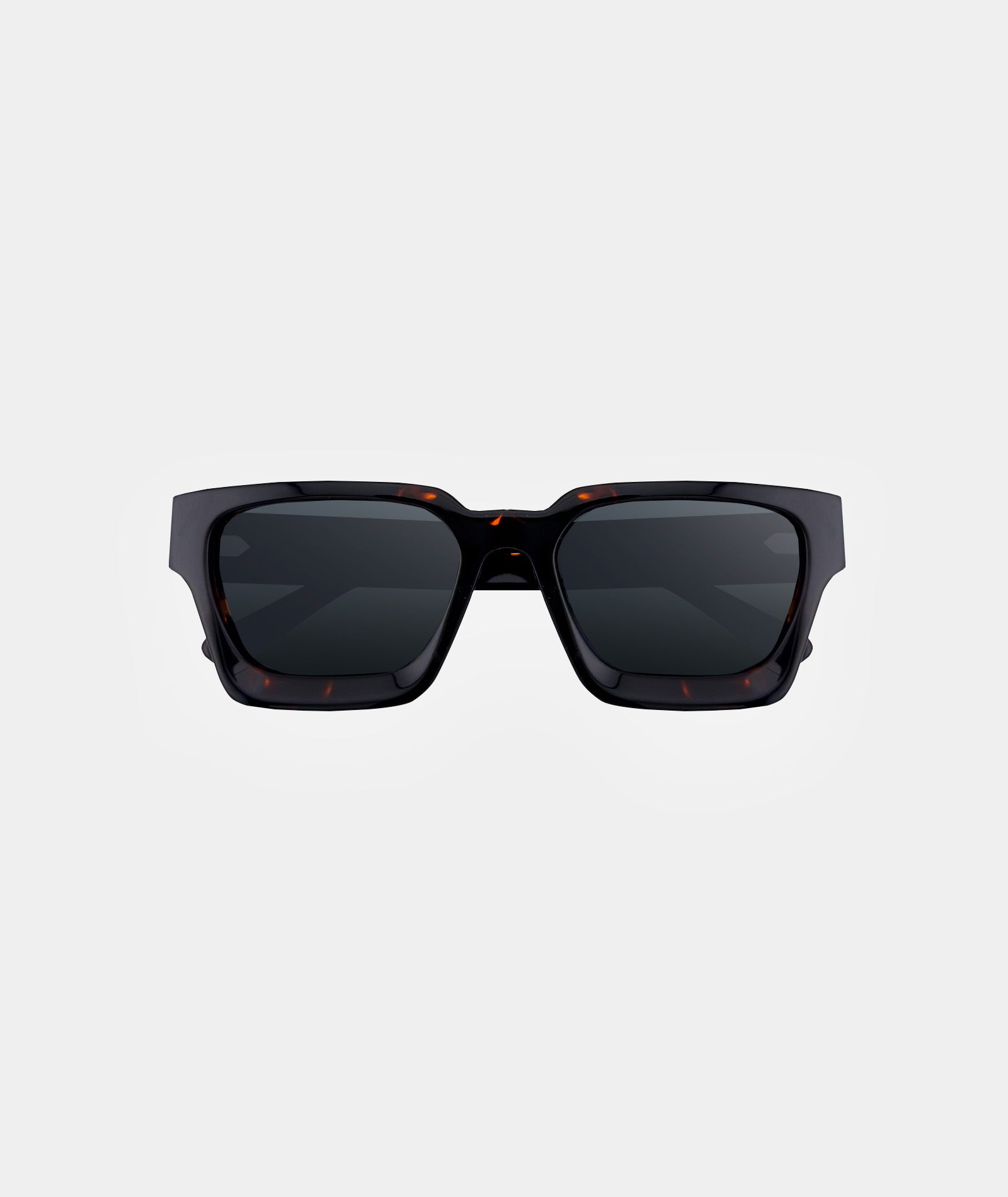 SOHO Brown Tortoise